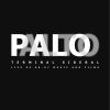 Palo Alto, Terminal Sideral (OS.022)